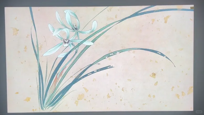 外贸盒子大揭秘