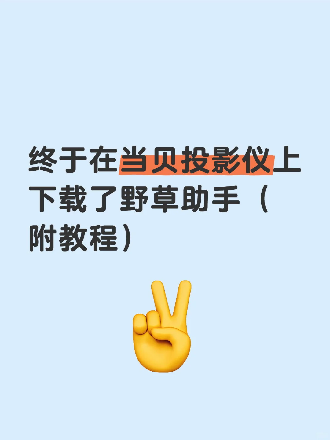 终于在当贝投影仪上下载了野草助手