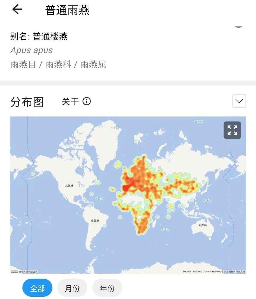 懂鸟app安卓版来了可离线使用