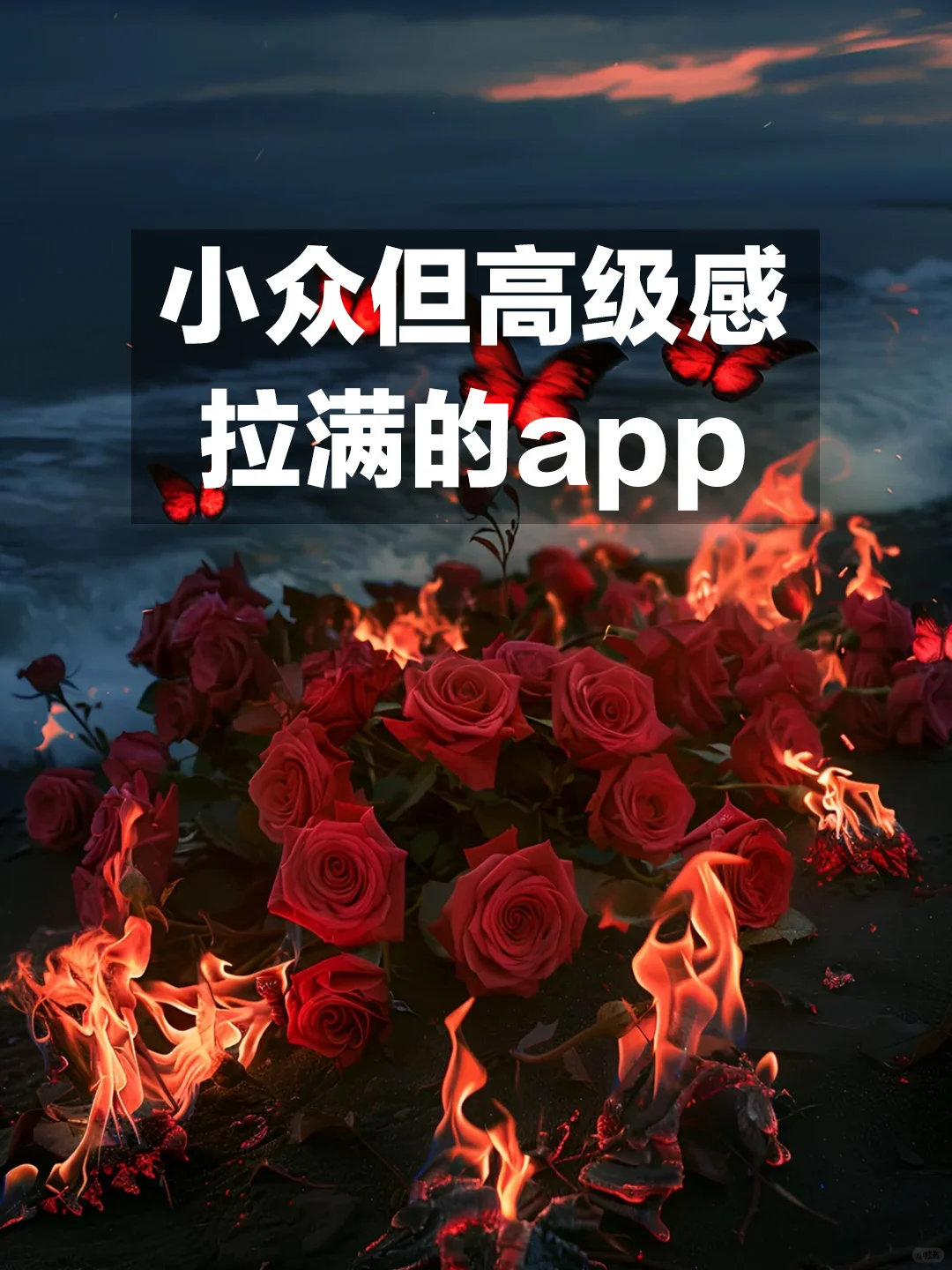 拜托！这些小众app真的很好用！