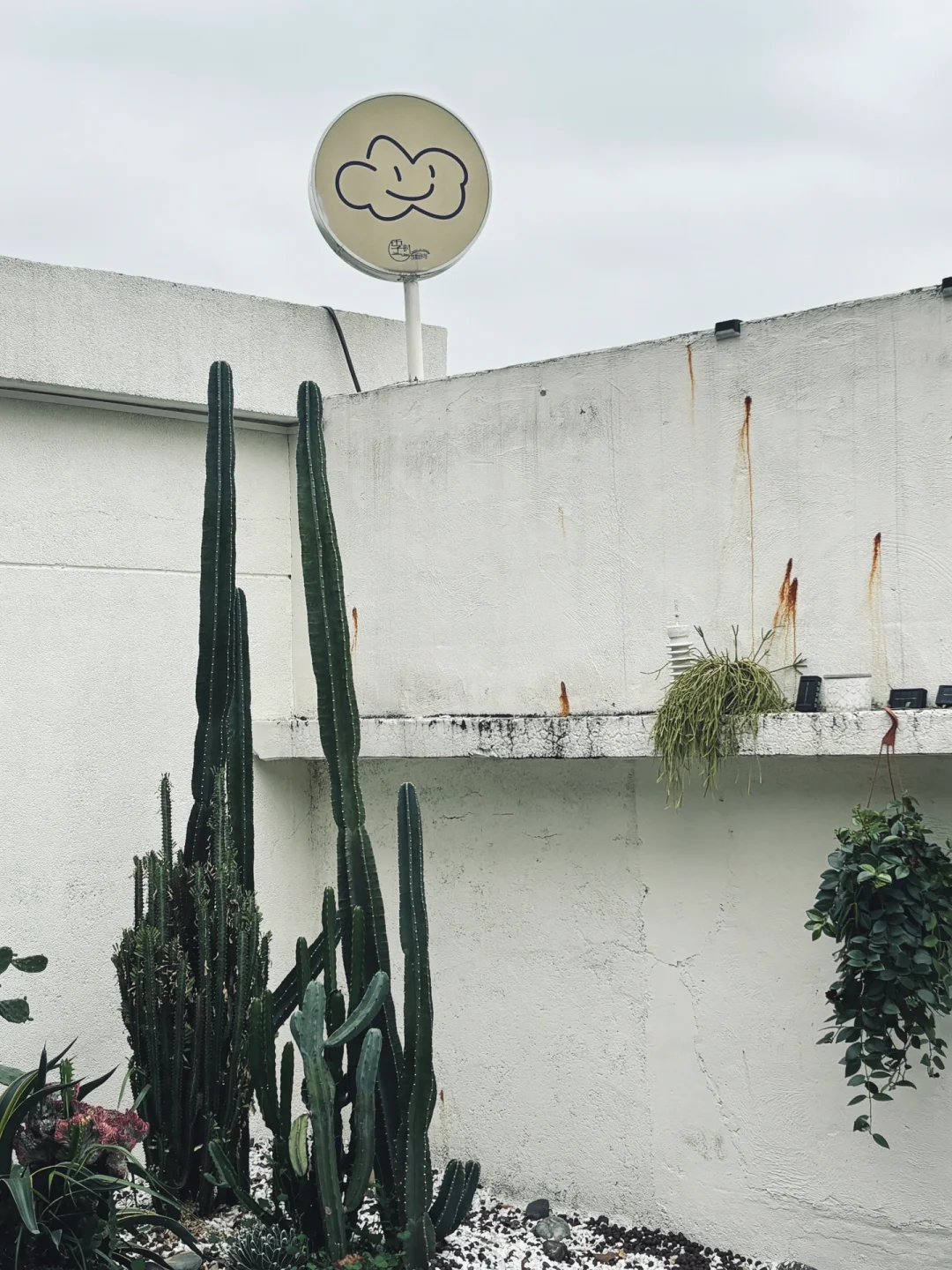 📸 手机摄影｜这些技巧让你随手拍出高级感