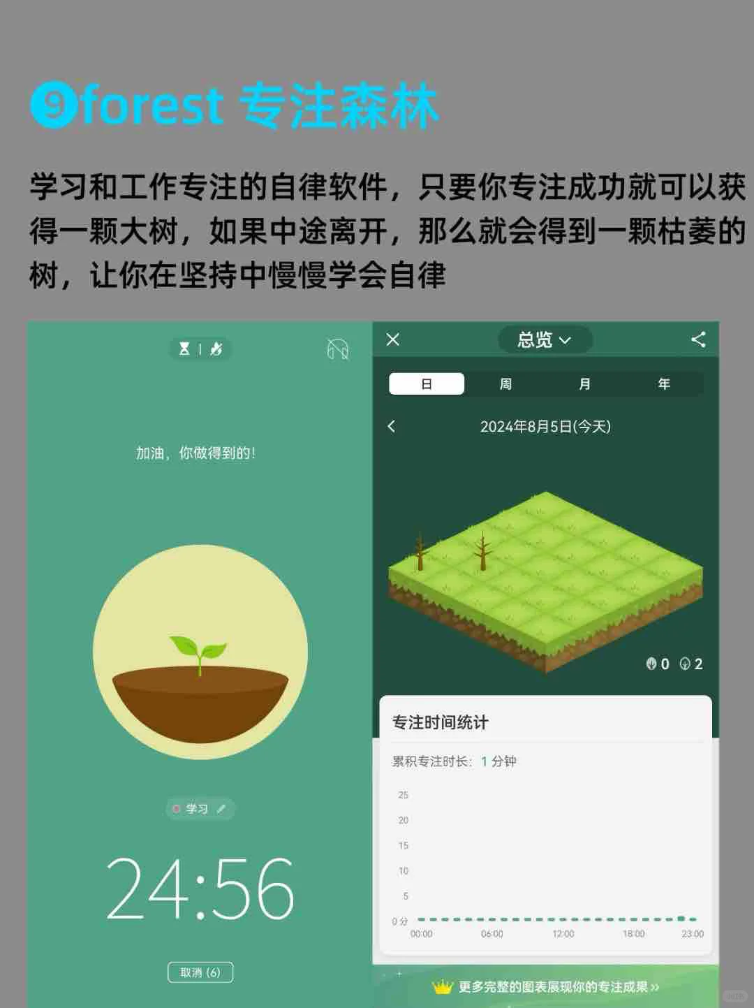 苹果安卓通用10个宝藏效率App