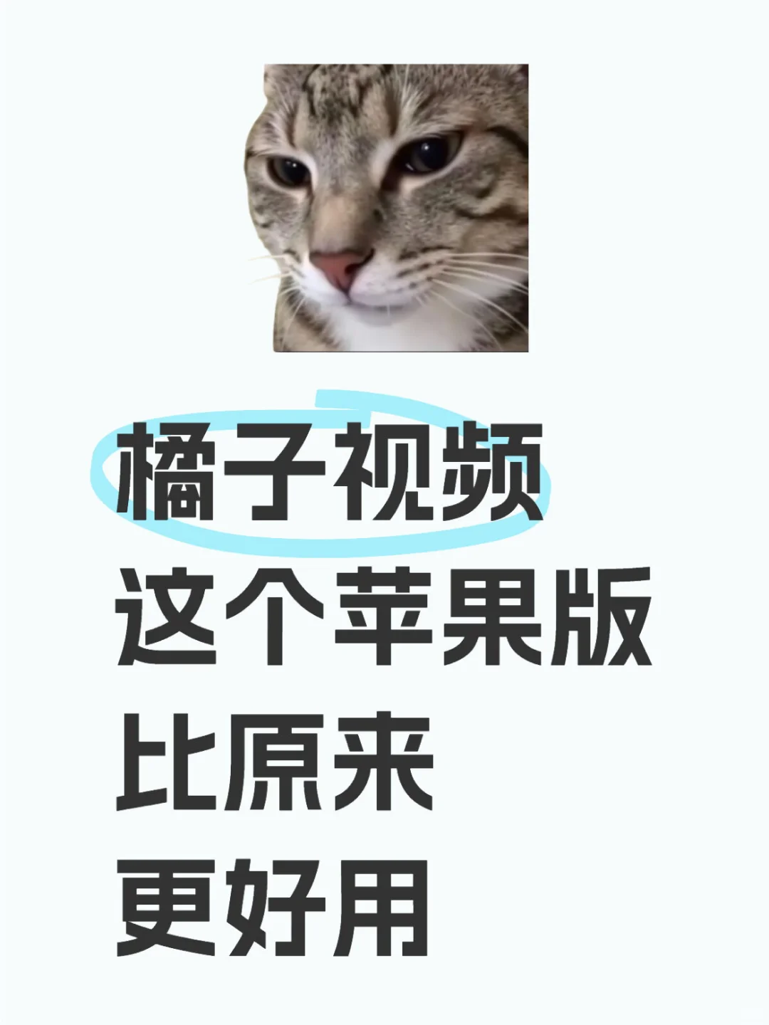 推荐一个ios免费看剧的APP