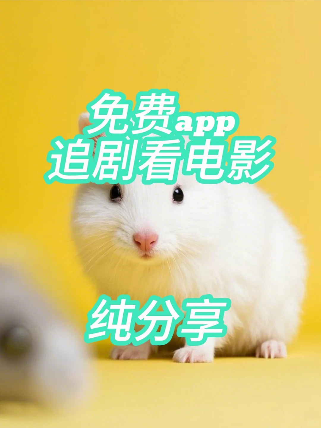 纯分享，一款好用的app