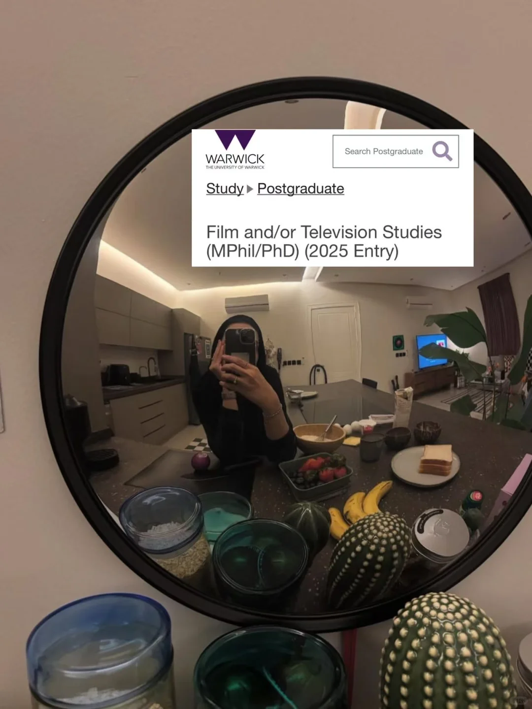 忍不住来讲下我帮学生拿下的华威电影PhD