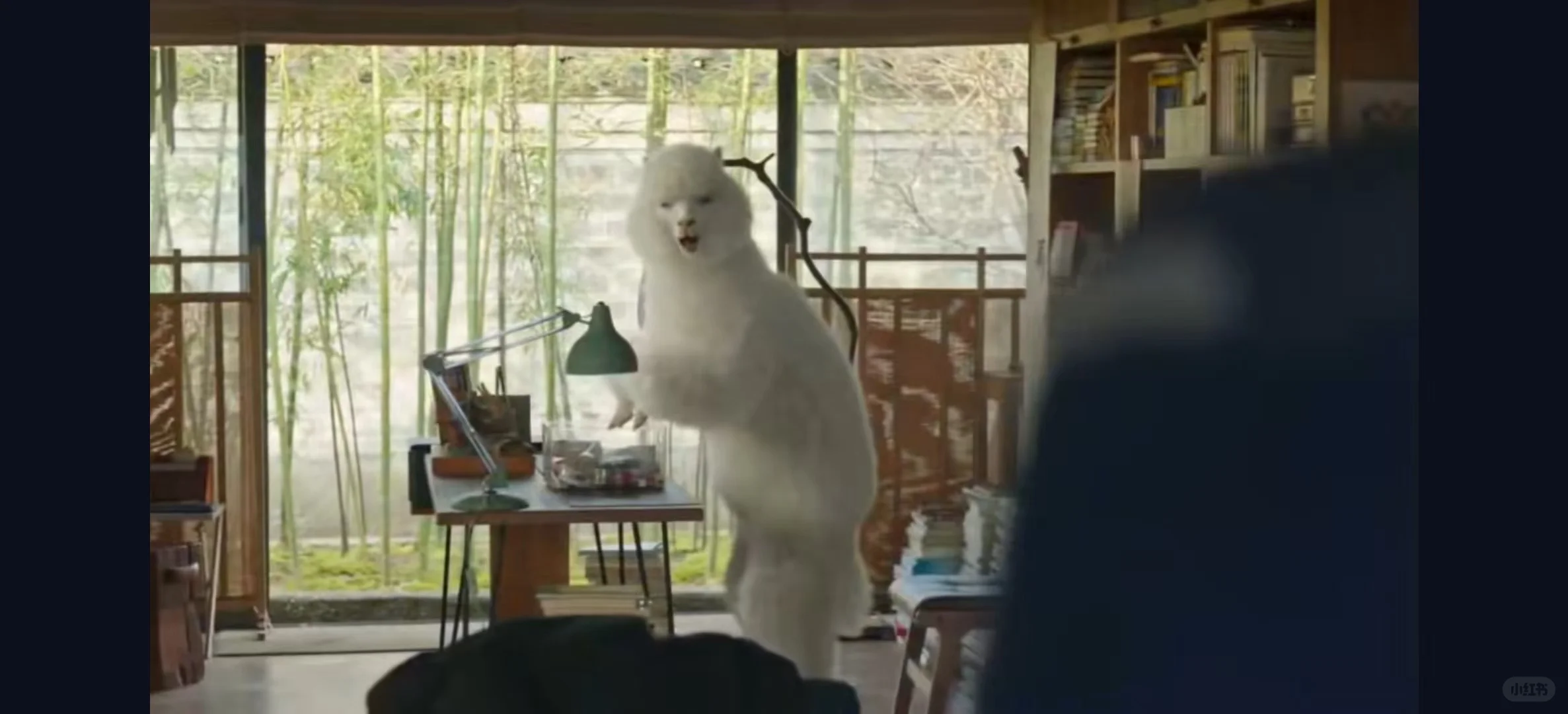 一个软件实现追剧自用🥰