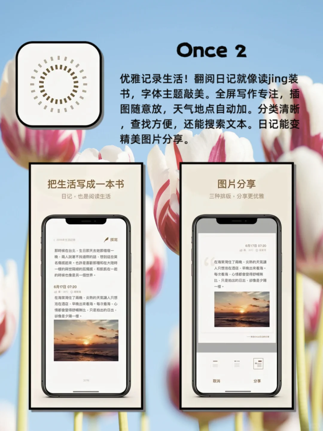2025 神仙日记 APP 合集，告别 emo！