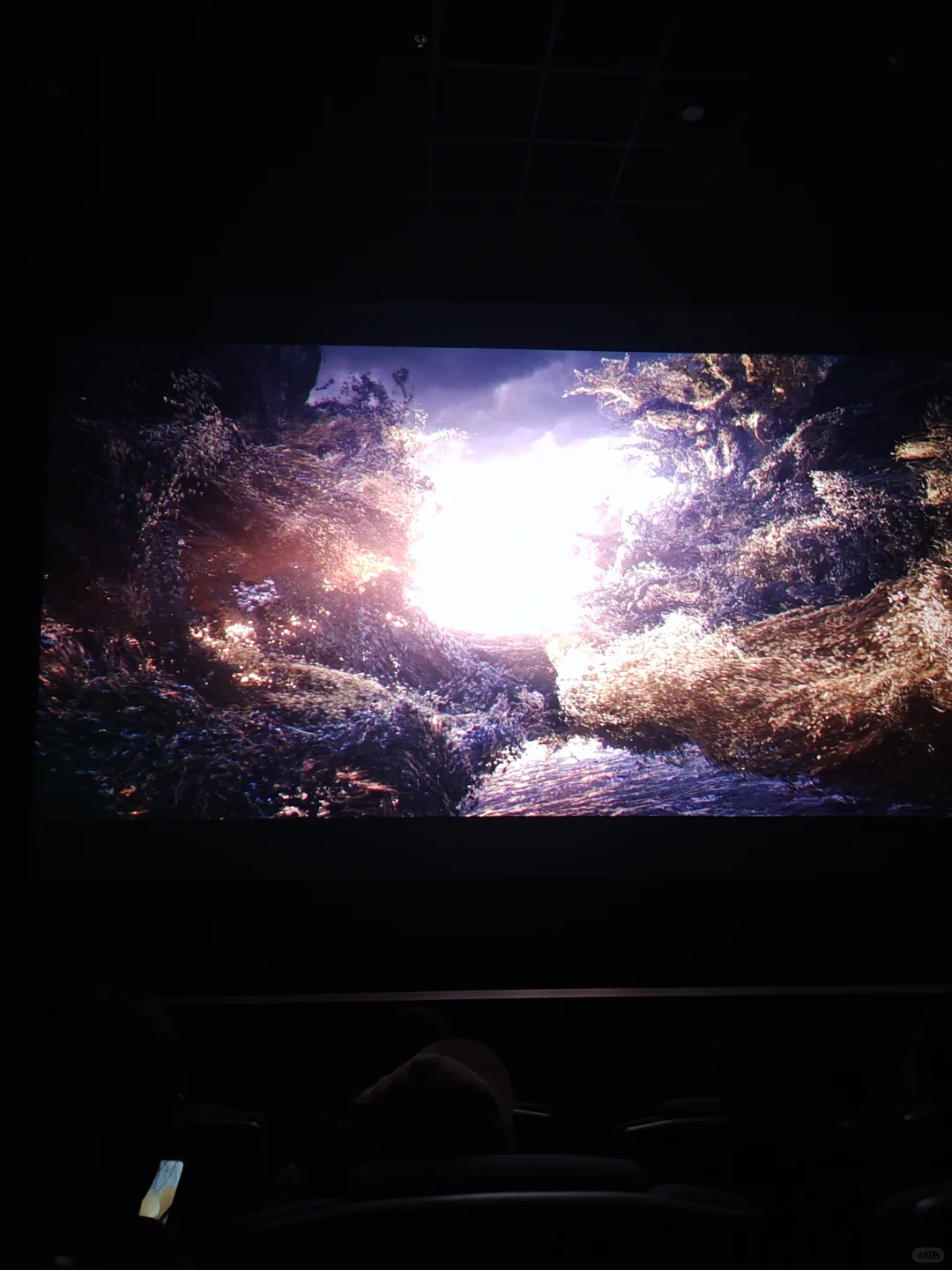 这才是真正在做电影啊