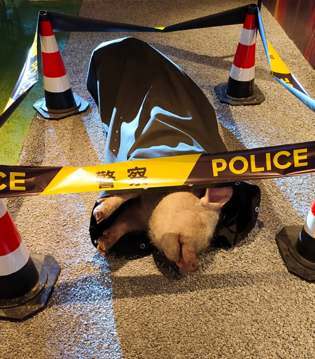 05女大参加首映之悬疑烧脑预警