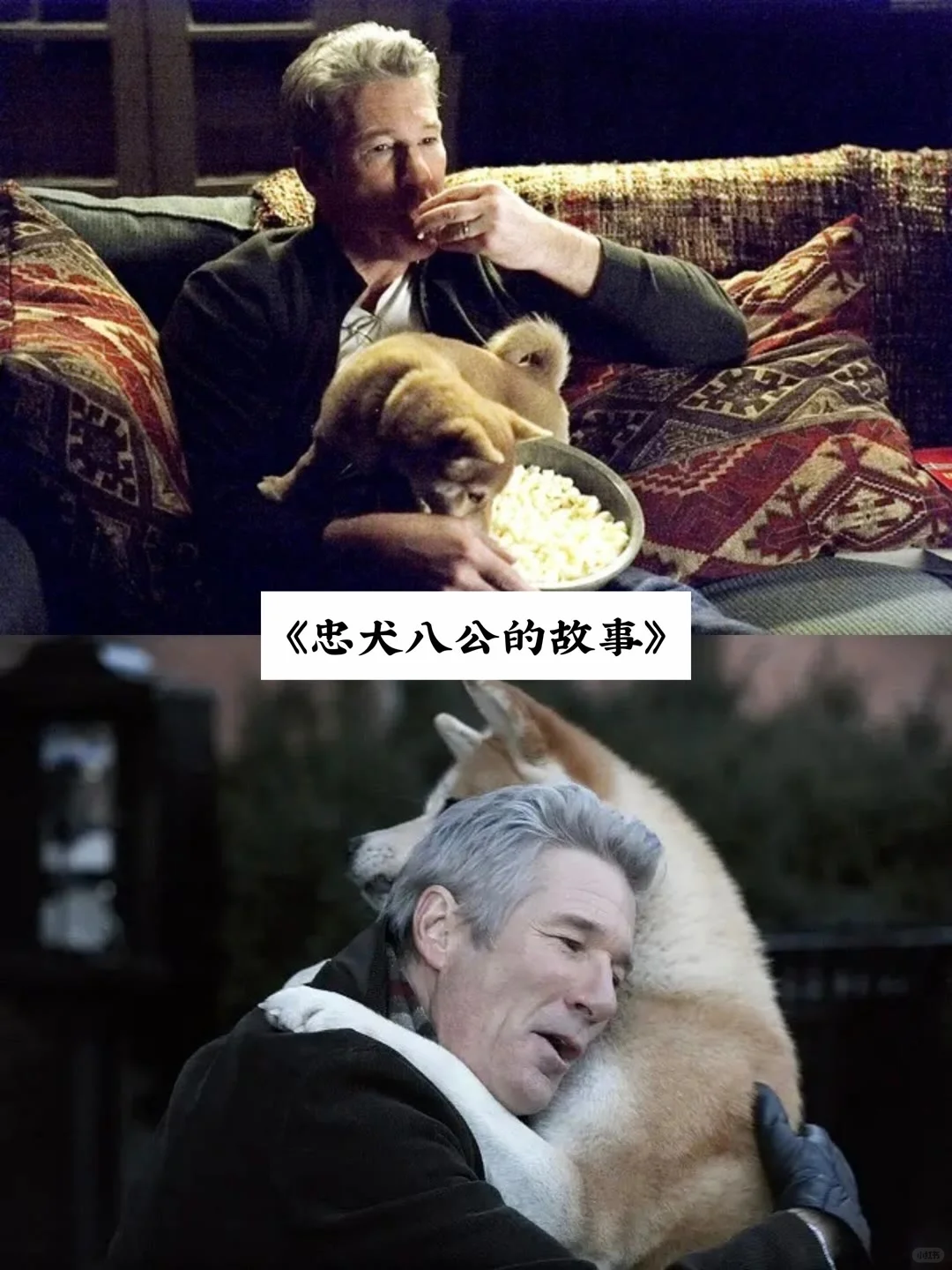 人生必看的电影、治愈你的从来不是时间