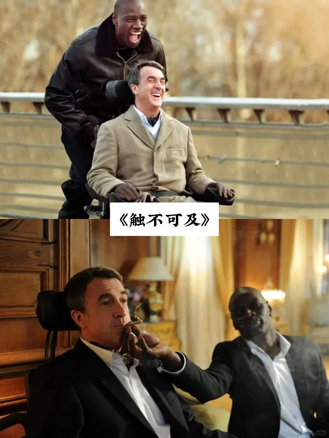 人生必看的电影、治愈你的从来不是时间