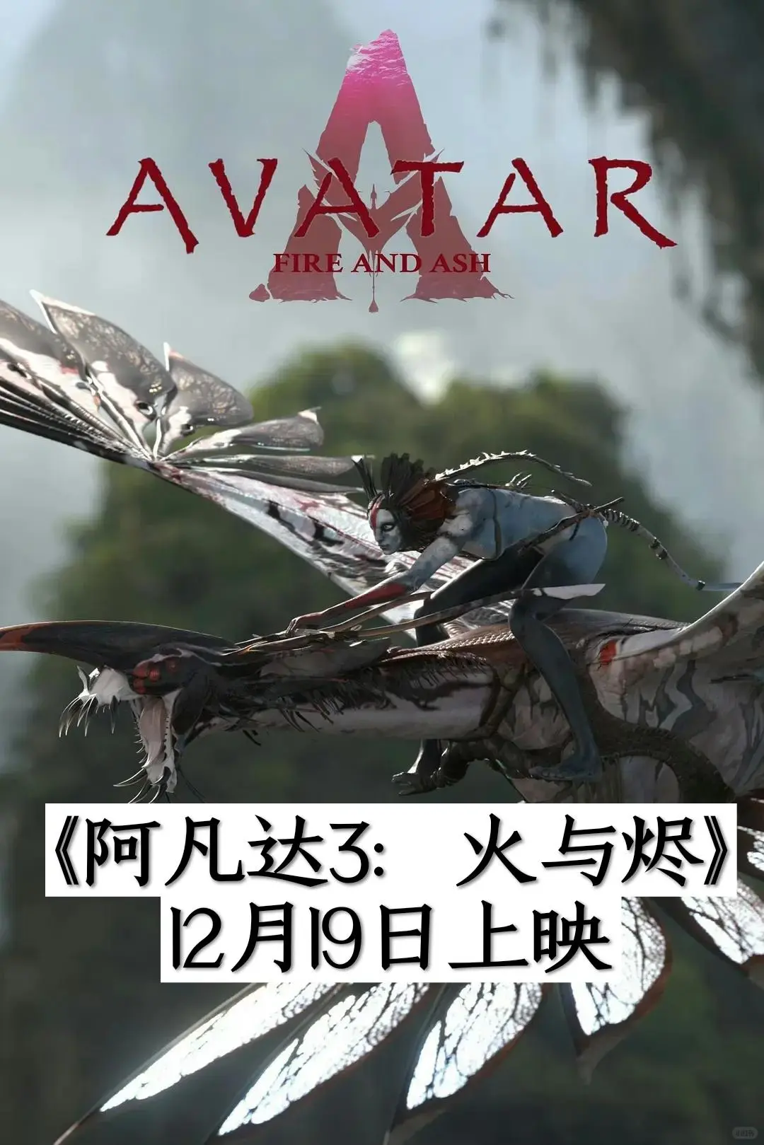 2025年全球上映电影，你最期待哪一部