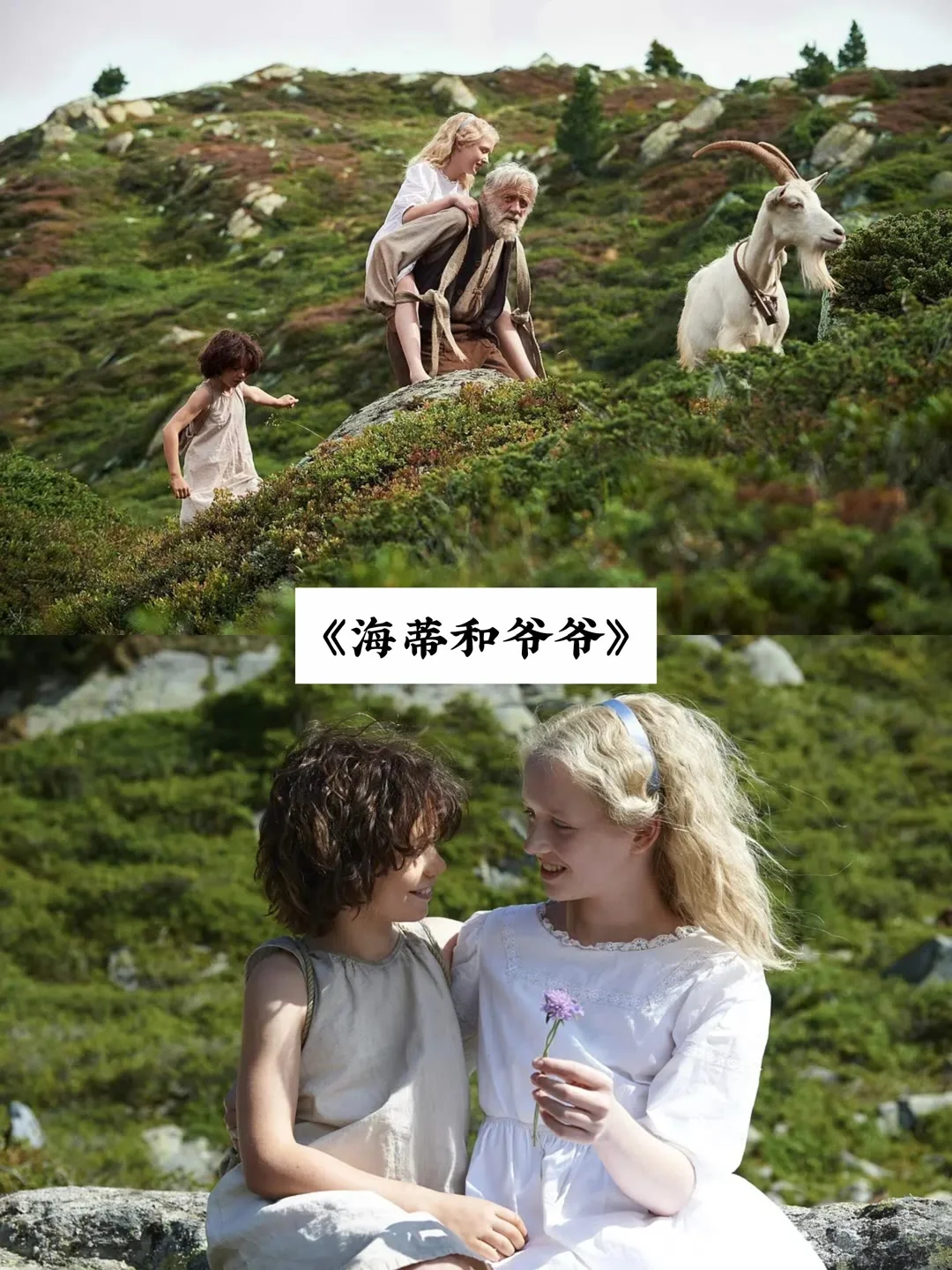 人生必看的电影、治愈你的从来不是时间