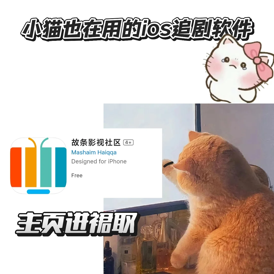 IOS追剧软件——故条