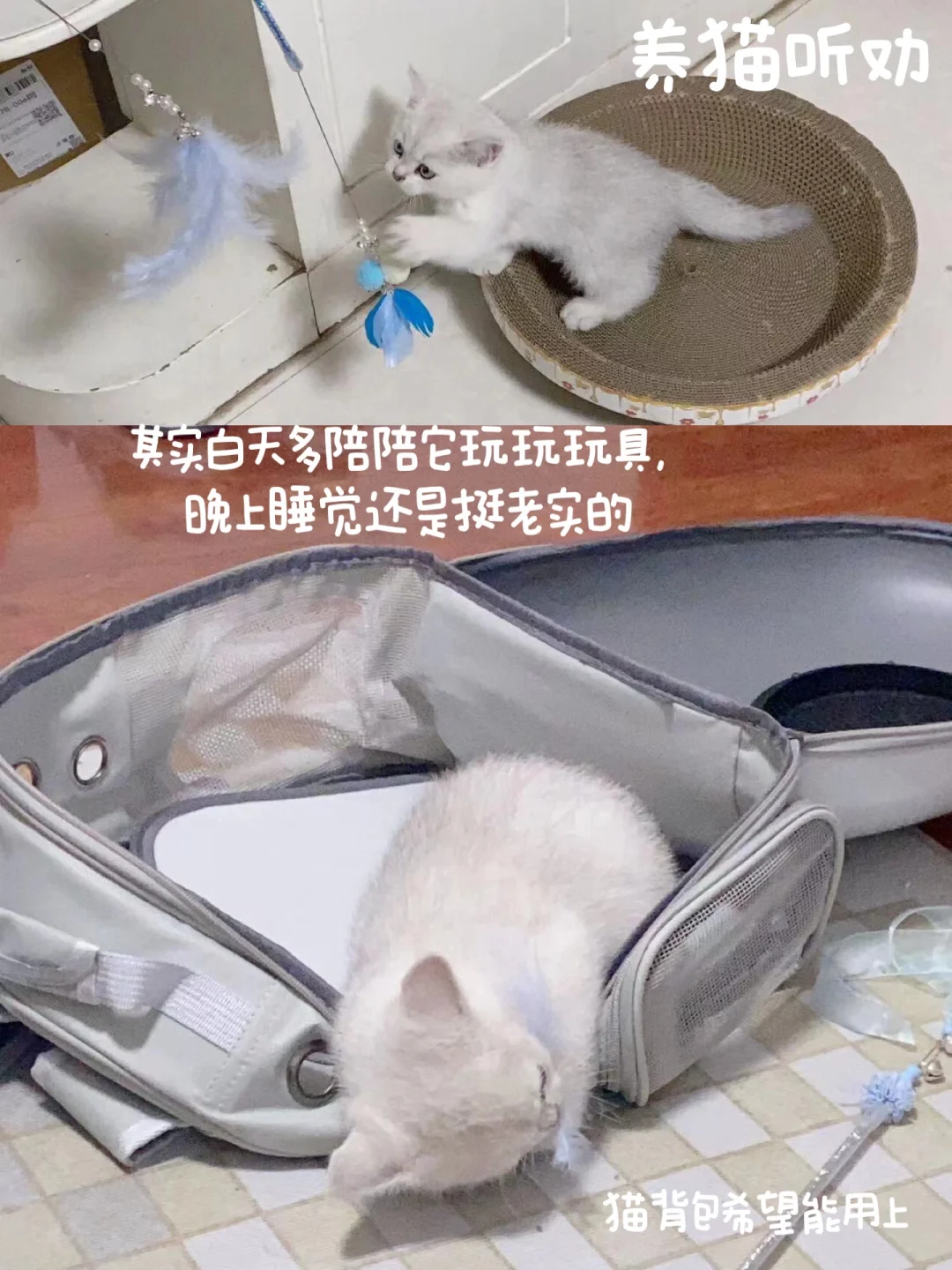 常用生物学软件分享1⃣️—SnapGene🔥