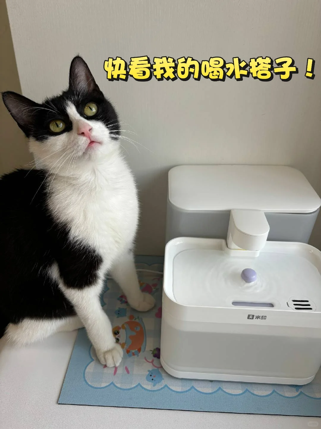 智能养宠，手机App让健康有迹可循~