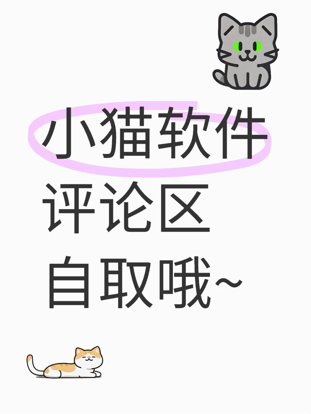 大家都在求的小猫软件