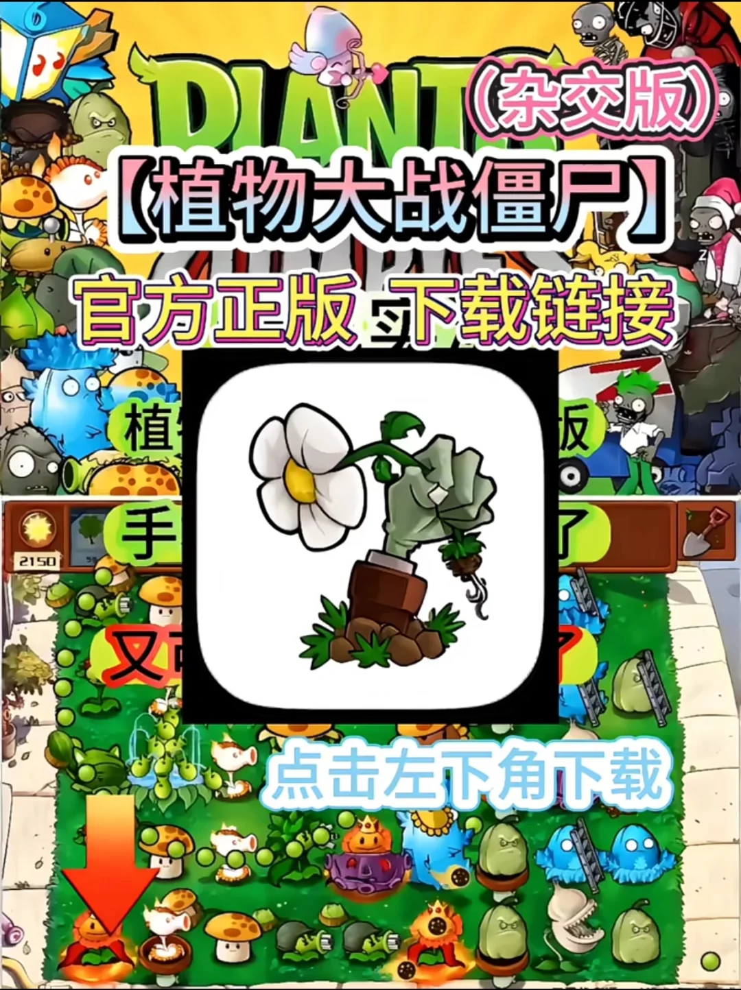 植物大战杂交版手游