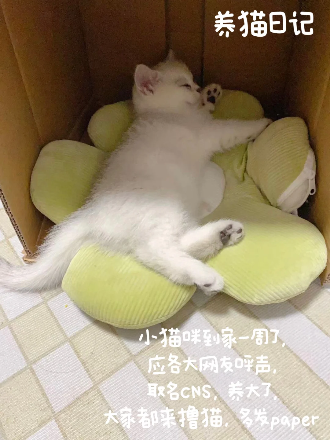 常用生物学软件分享1⃣️—SnapGene🔥