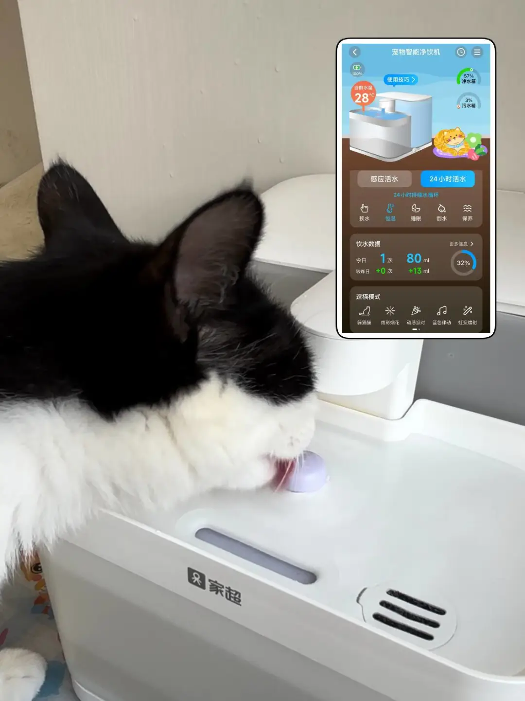 智能养宠，手机App让健康有迹可循~