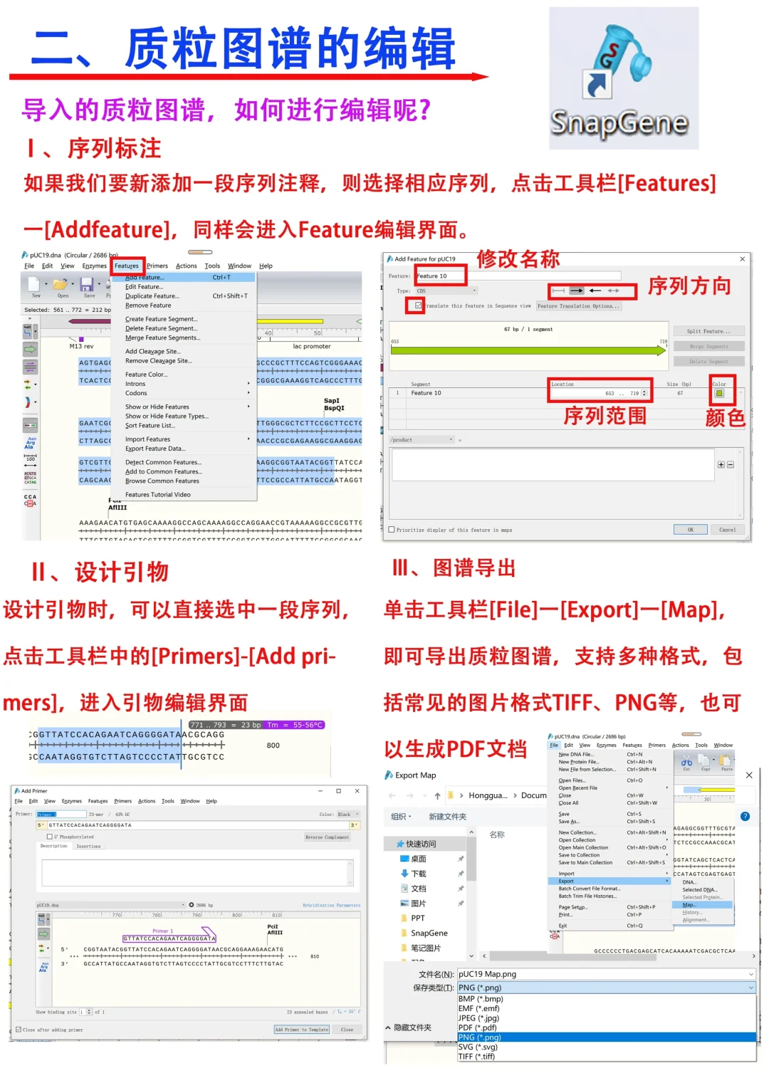 常用生物学软件分享1⃣️—SnapGene🔥