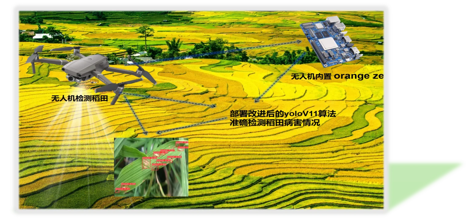 水稻病虫害预警轻量化系统架构
