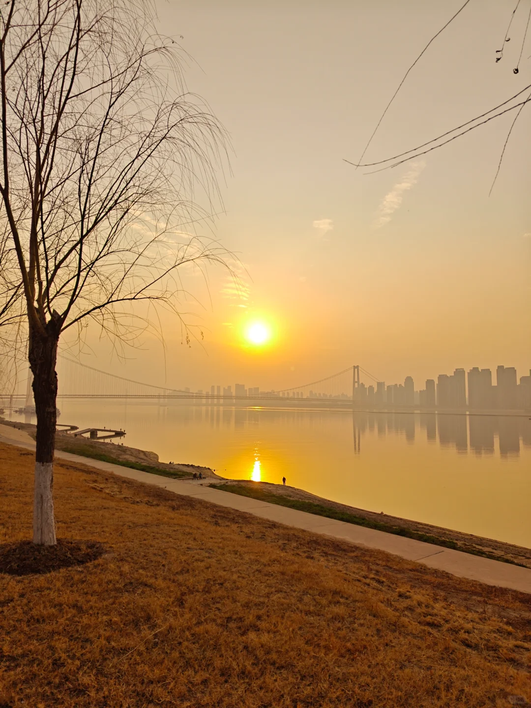 社工考试，怎么就没有一个APP刷题软件呢？