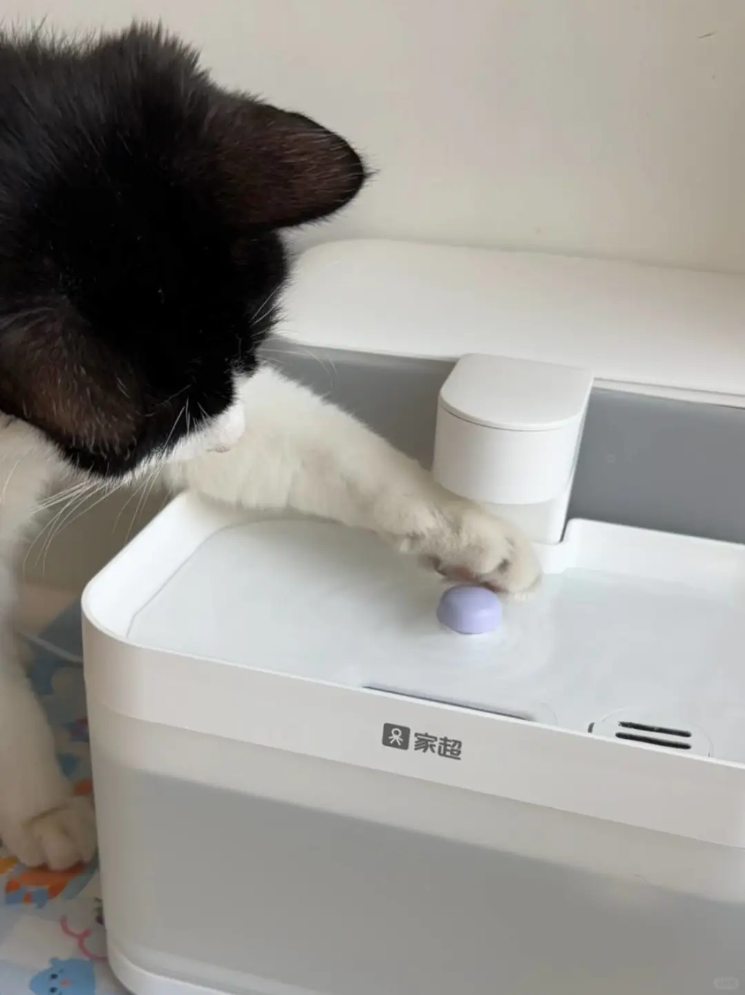 智能养宠，手机App让健康有迹可循~