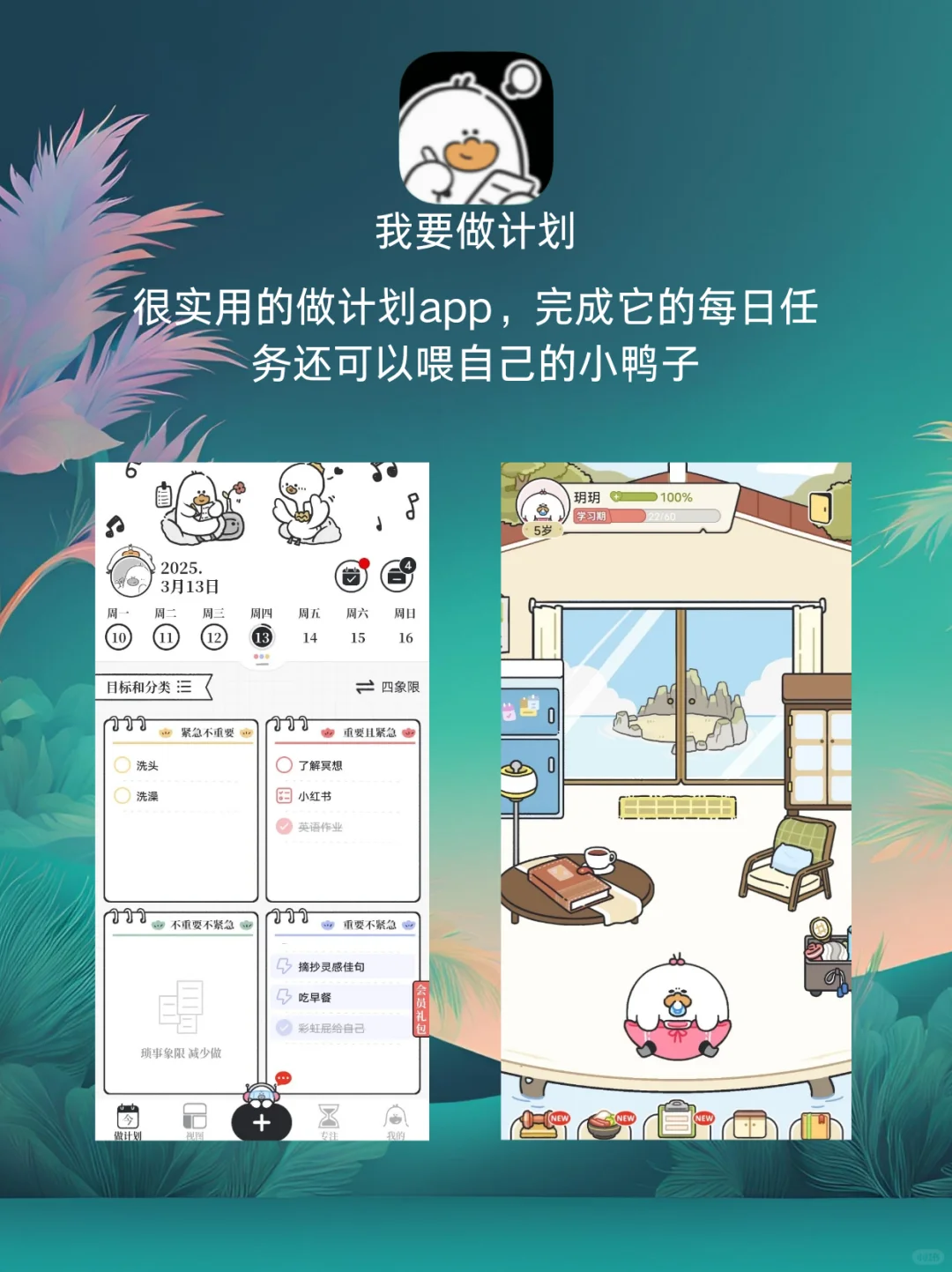 女生提升必备|小众且实用的app