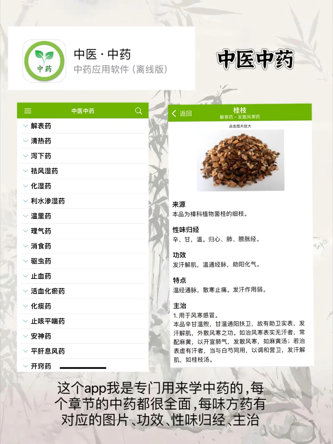 我不允许中医学生还不知道这些app！