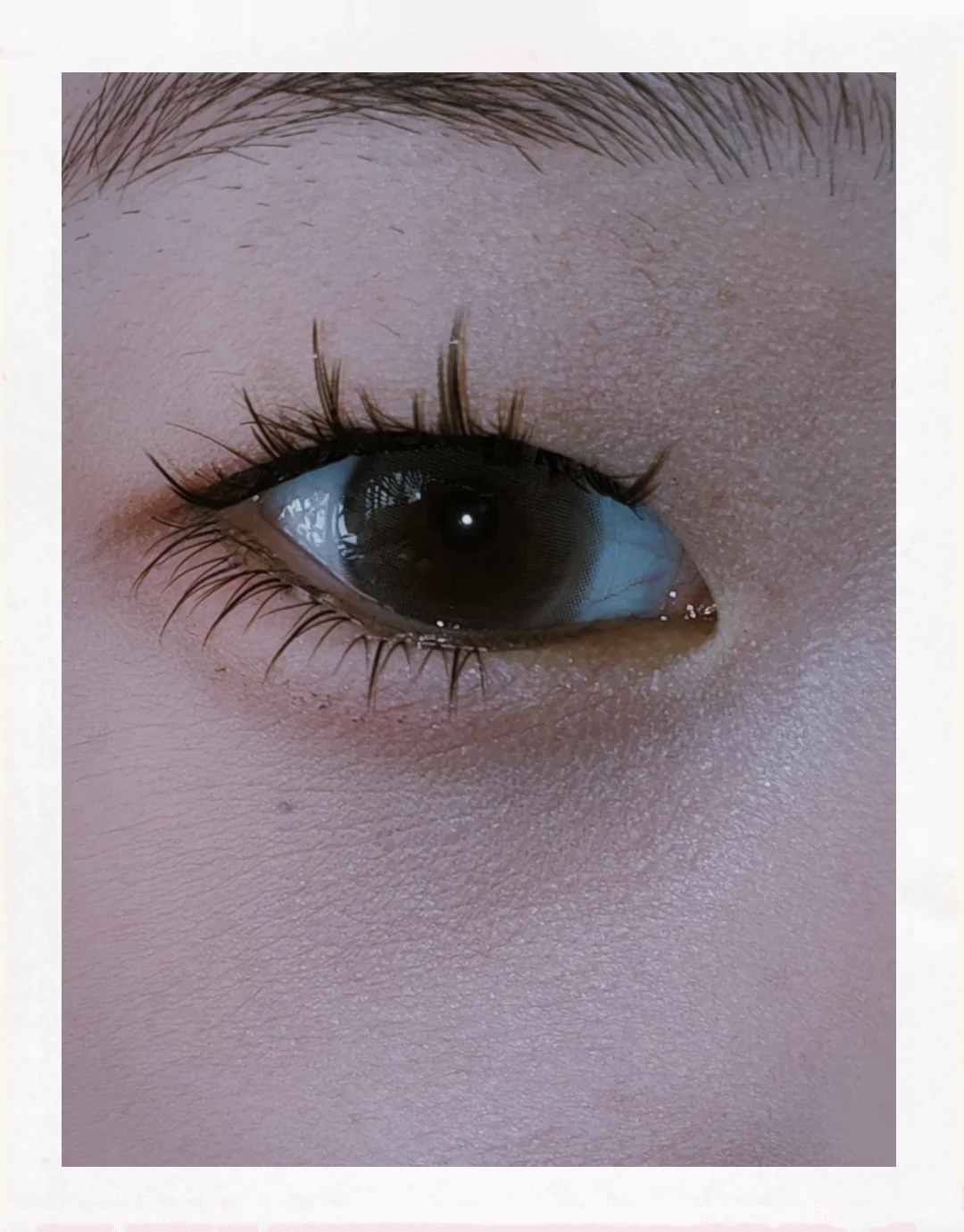 就是这个相机！太牛了！！