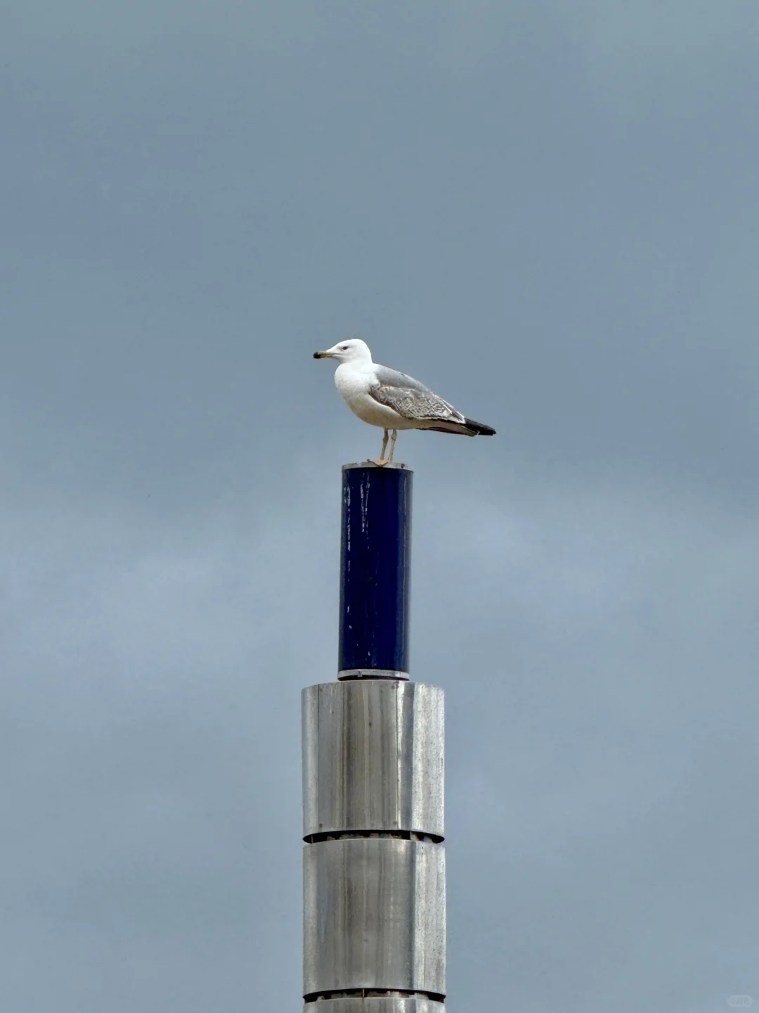 西班牙🇪🇸旅游实用app