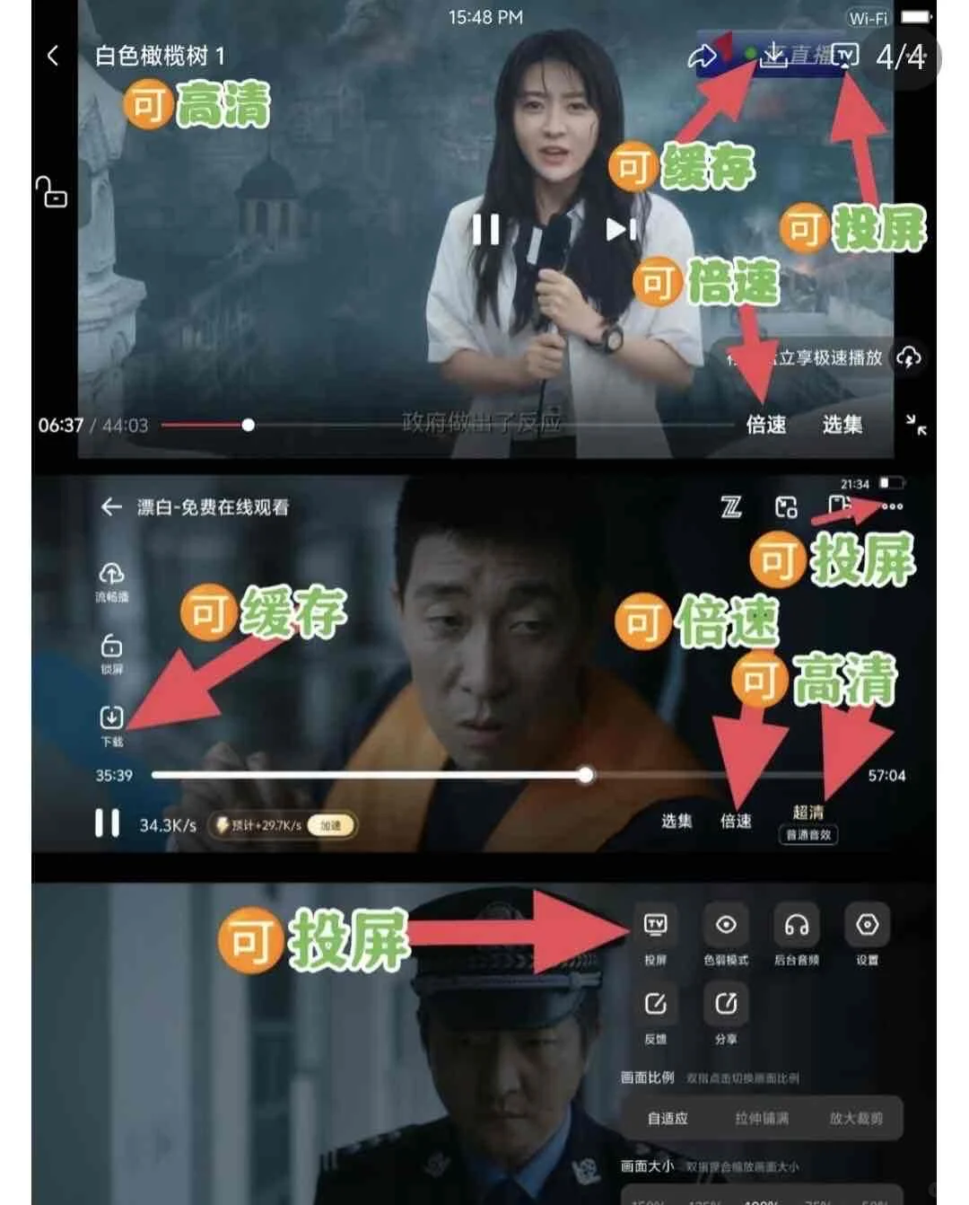 还是原来的橘子！橘子回来啦
