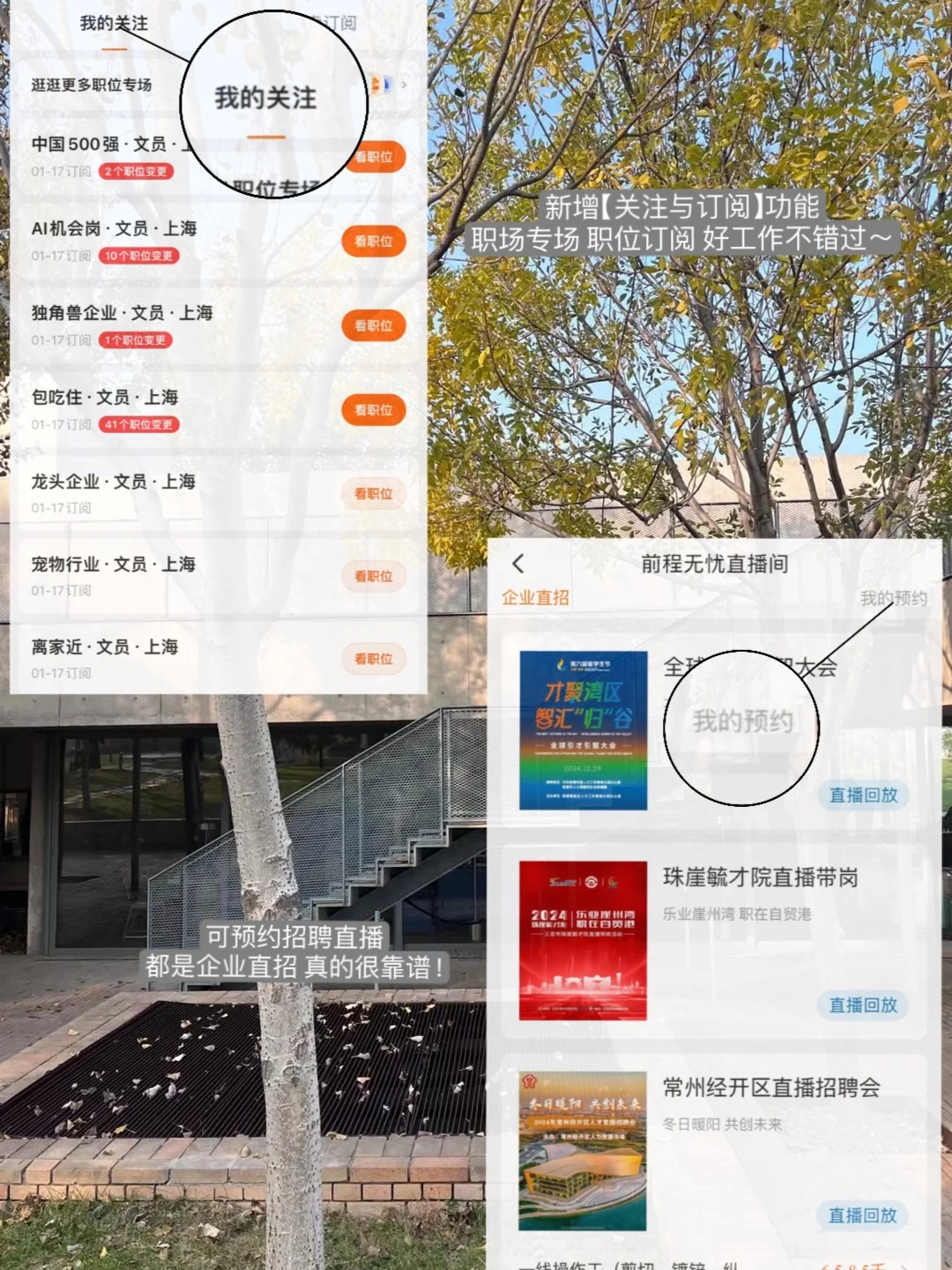 Plog：）打工人秘籍 i人自救指南.👼🏻🔁