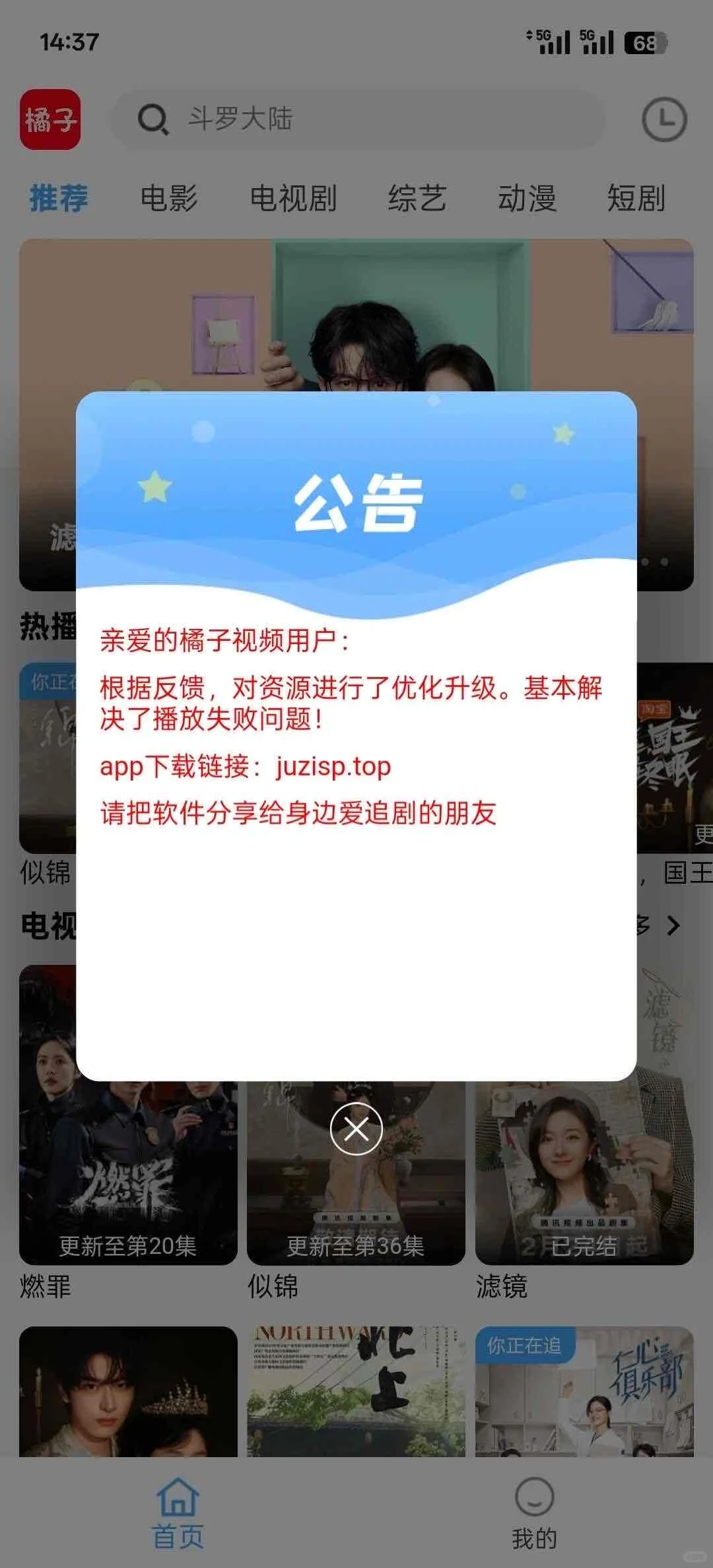 还是原来的橘子！橘子回来啦
