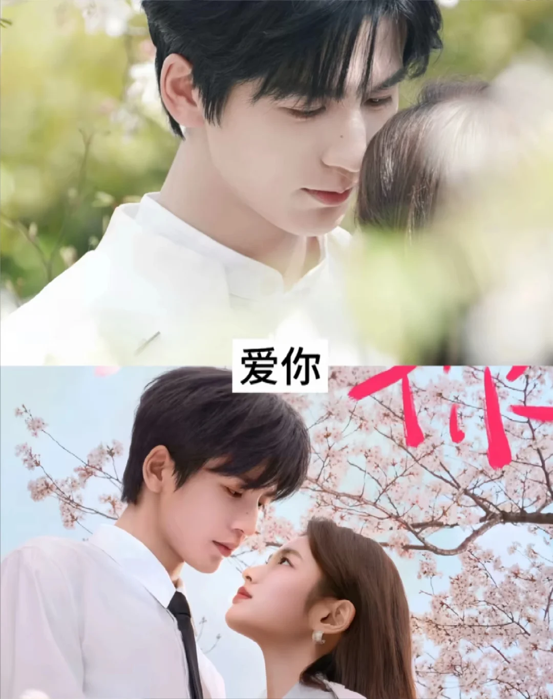 随心追剧，畅享自由！！😋😋😋