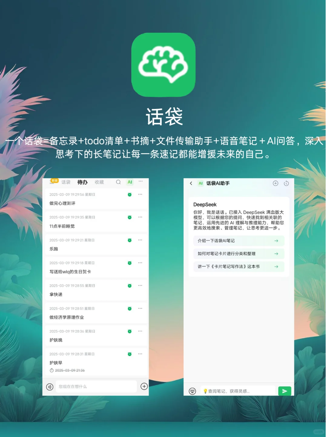 女生提升必备|小众且实用的app