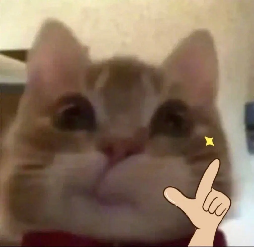 ios端最新追漫神器——喵喵