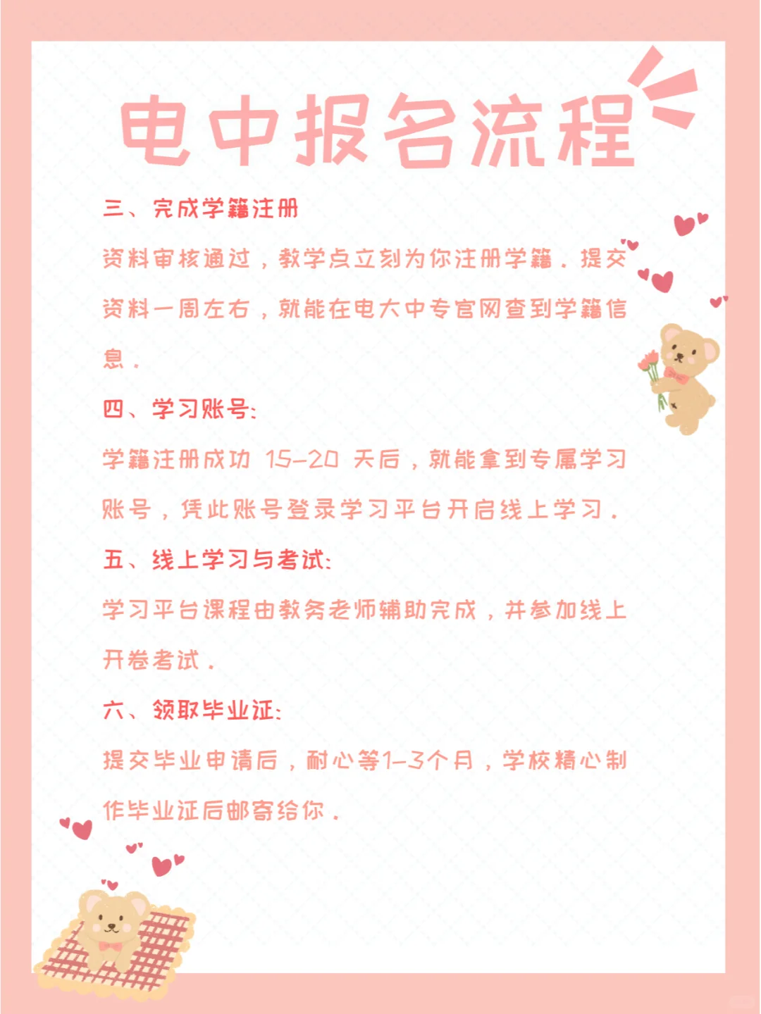 看完还不会报电大中专，请直接找我！