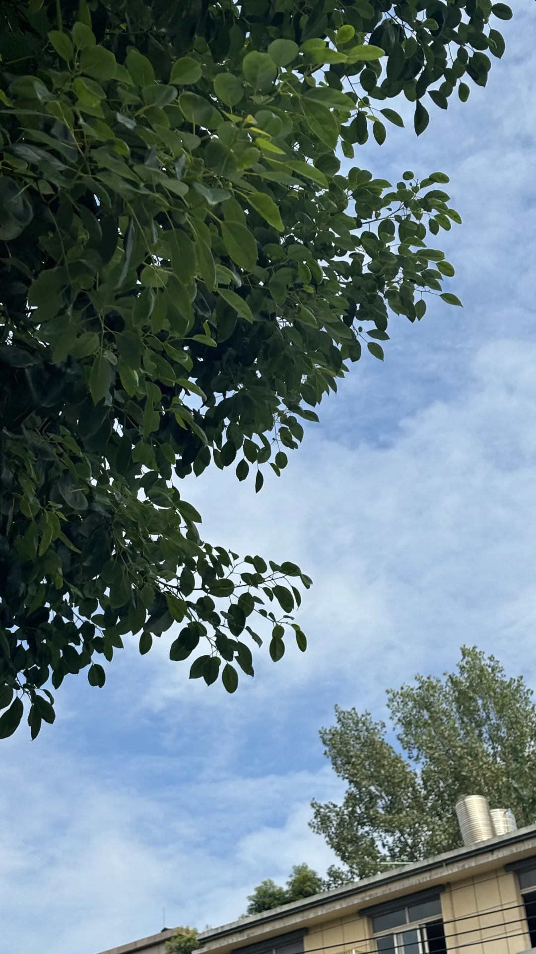 考研人速进‼️ 这款App让我从摆烂到上岸，