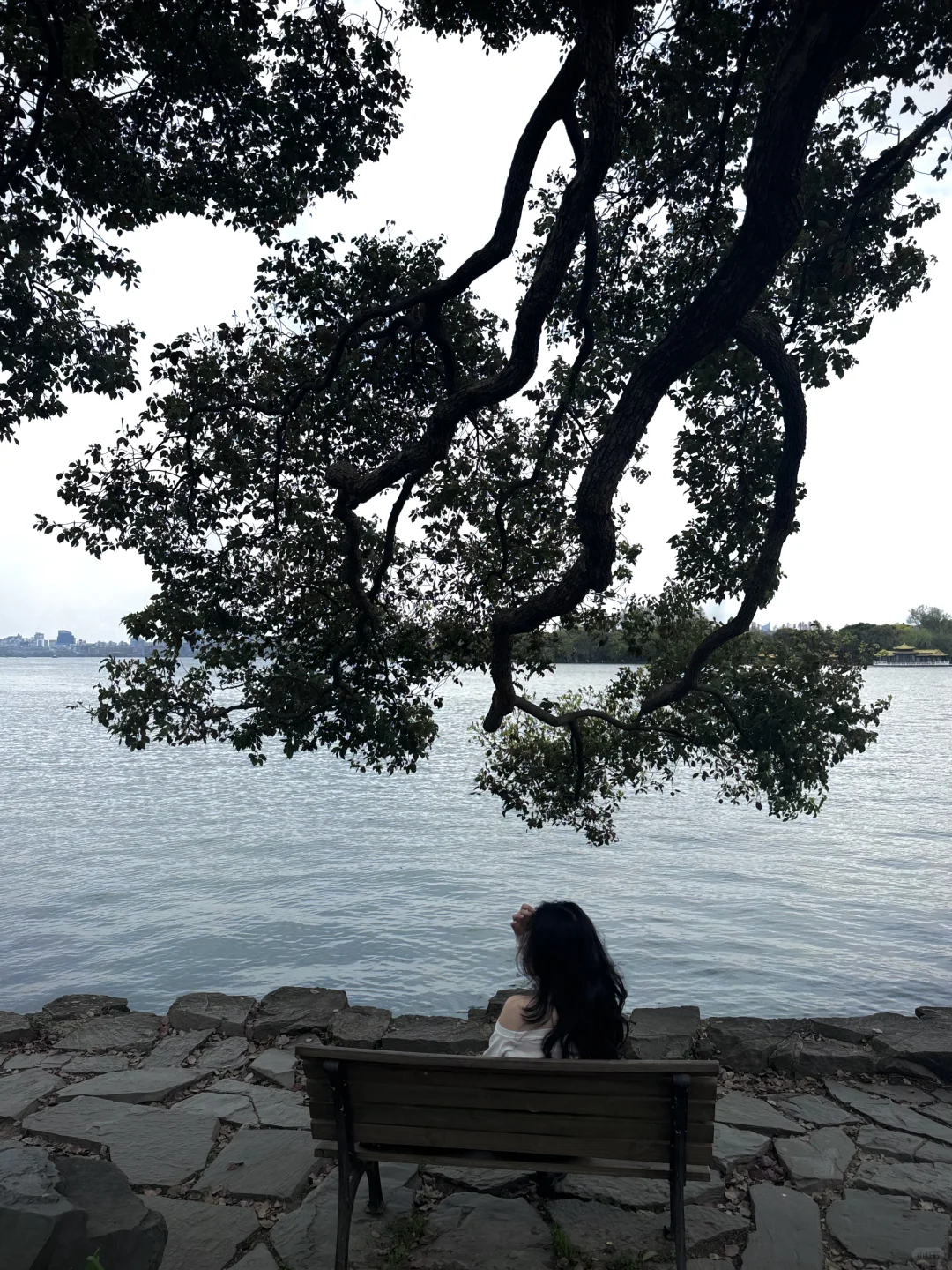 我的西湖水为什么这么瘦