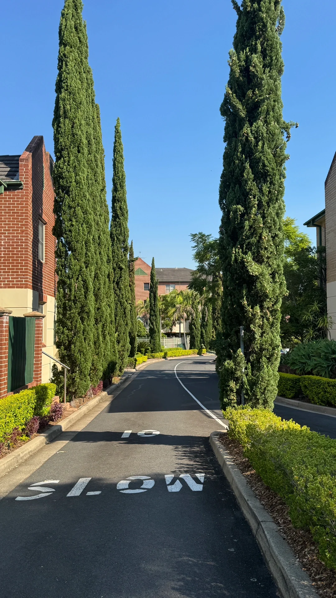 要回国咯！珍惜悉尼最近的每一个晴天☀️📷