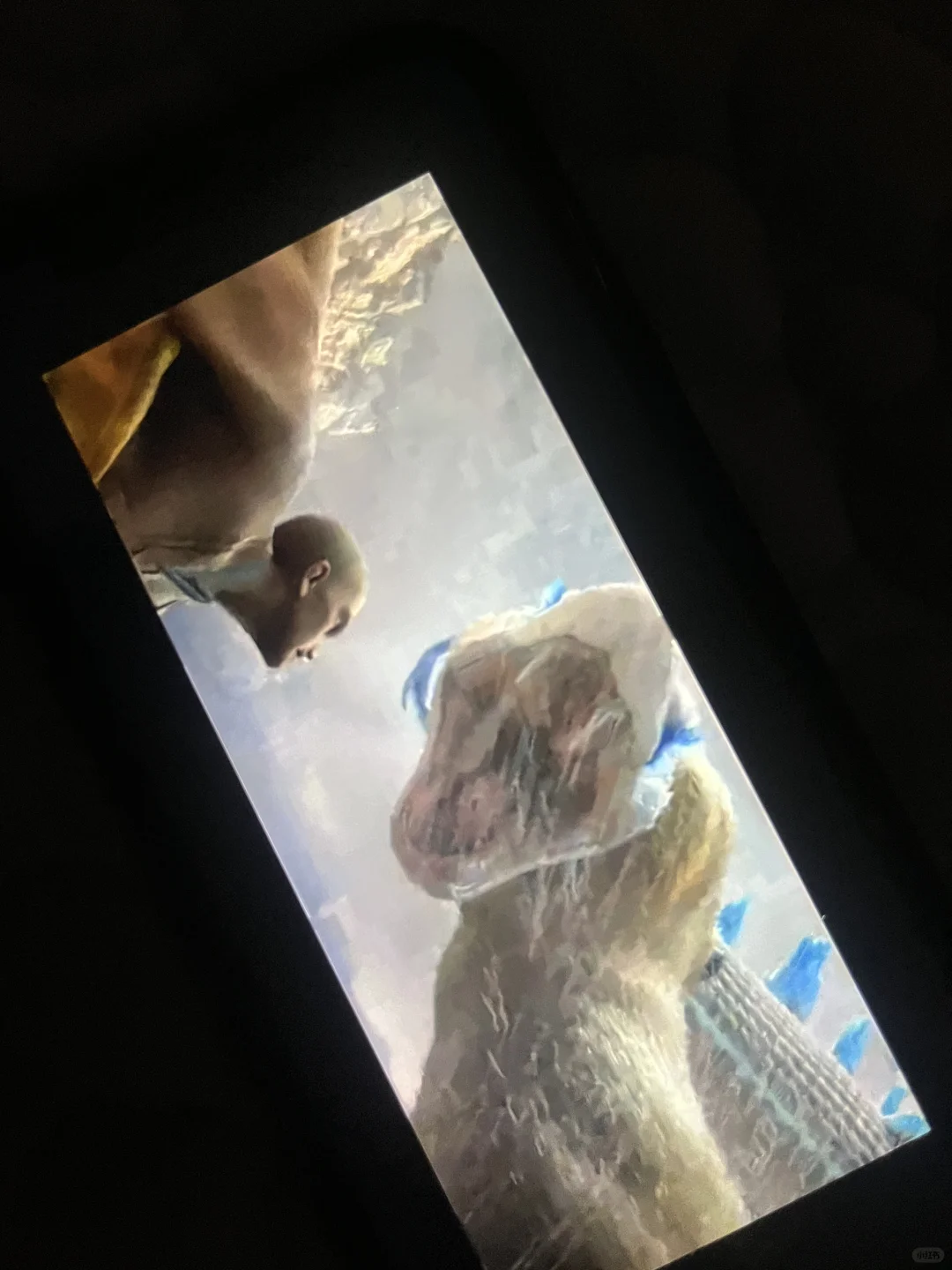 追剧软件！这一个就够用了！