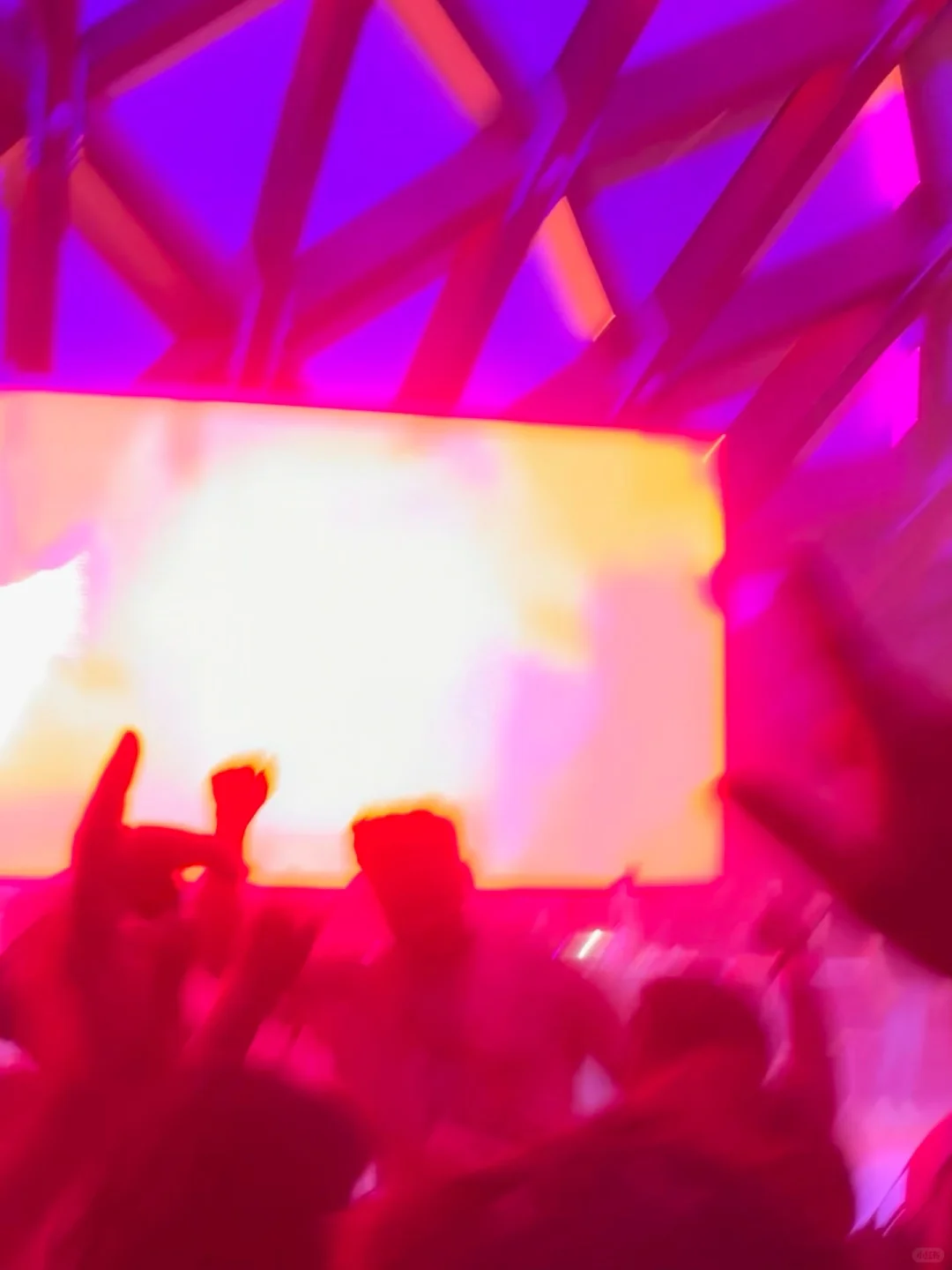 🇦🇺Holi Festival 不去后悔一年