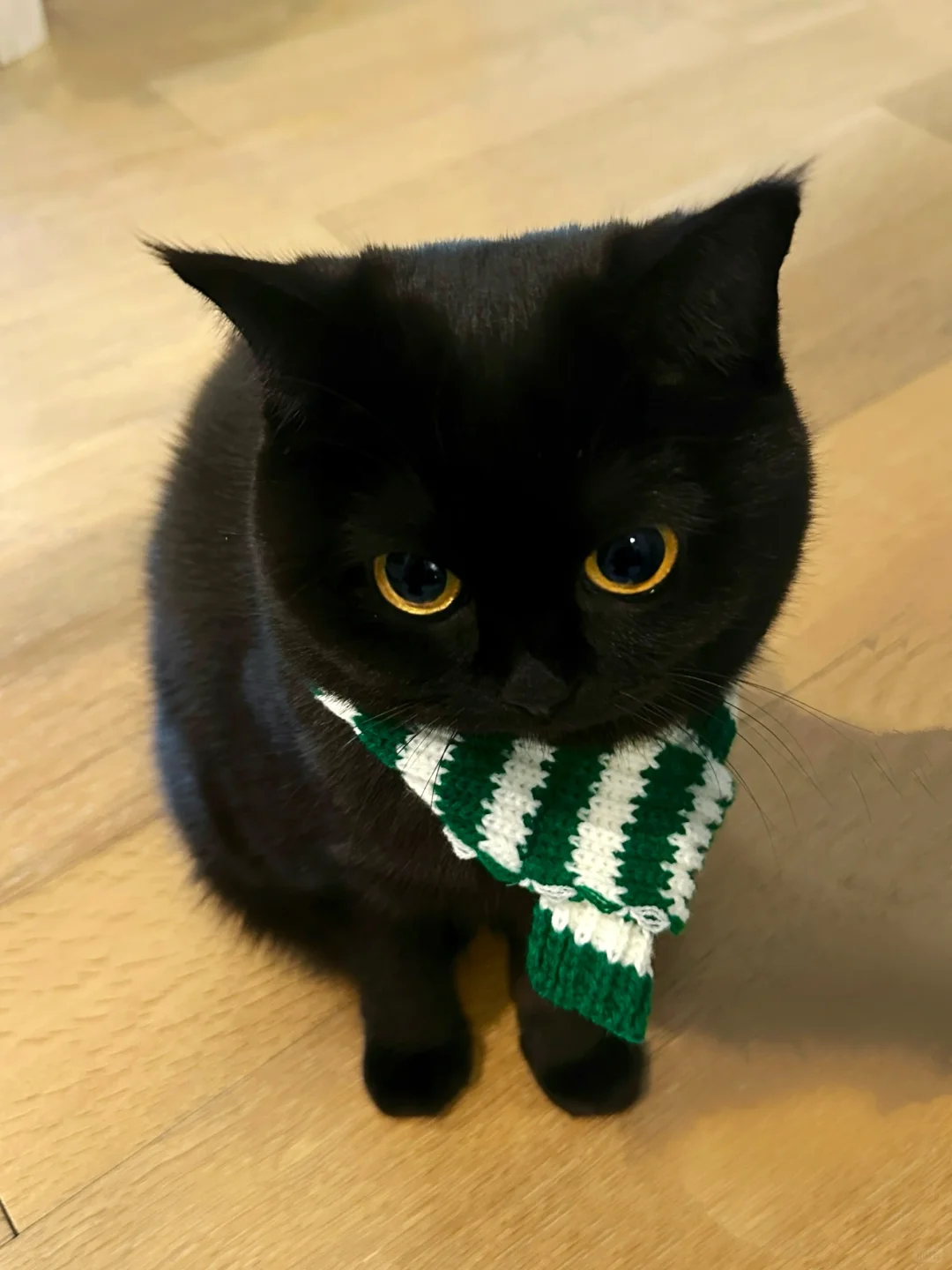 人、不许随便亲咪