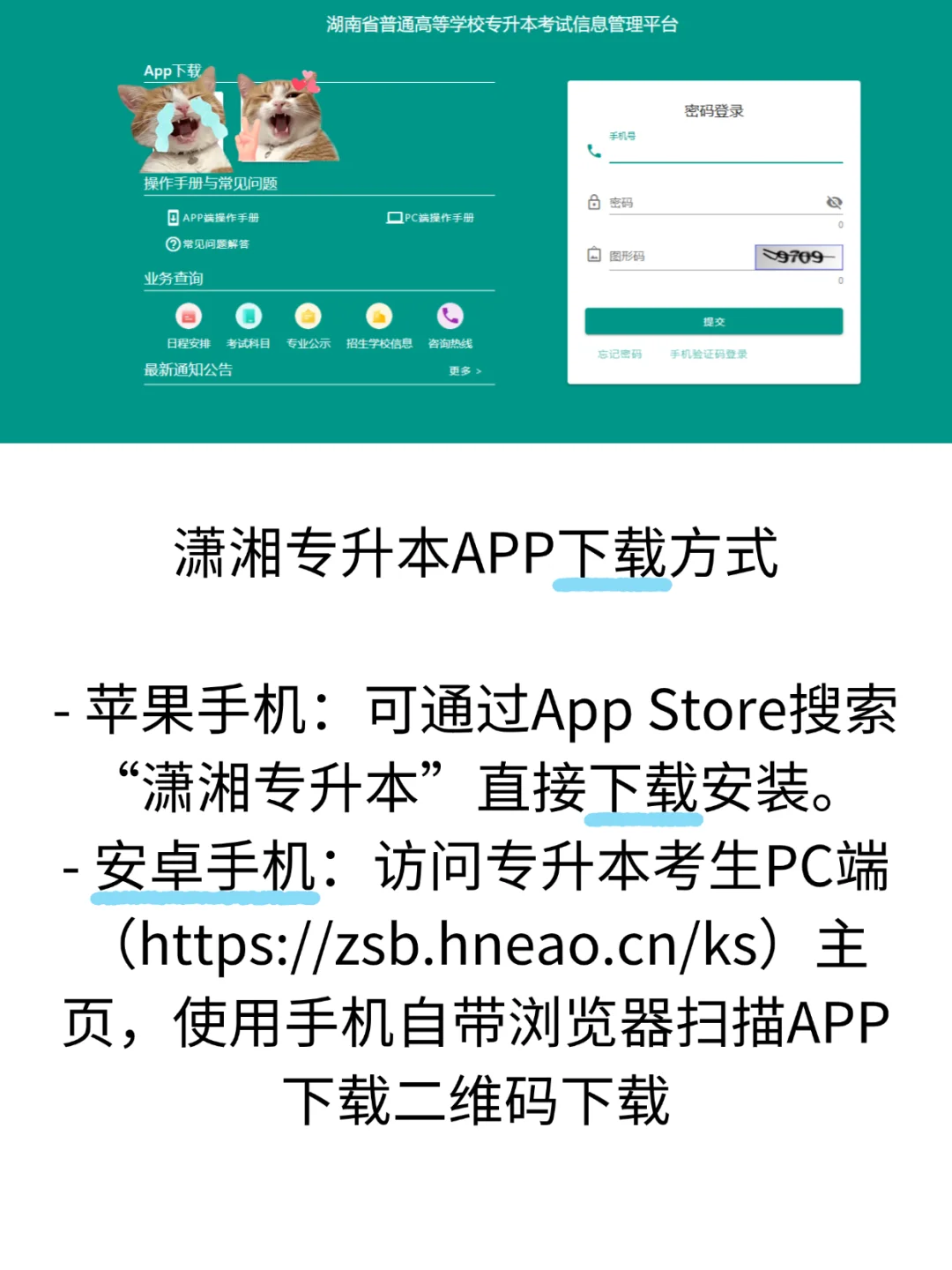 25专升本的宝子注意了，报考时间临近