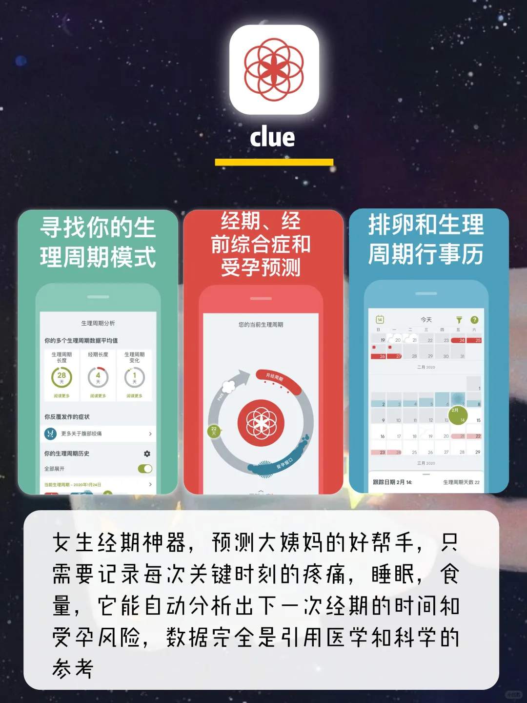 逆袭提升必备APP🌟手机里一个顶十个🐻