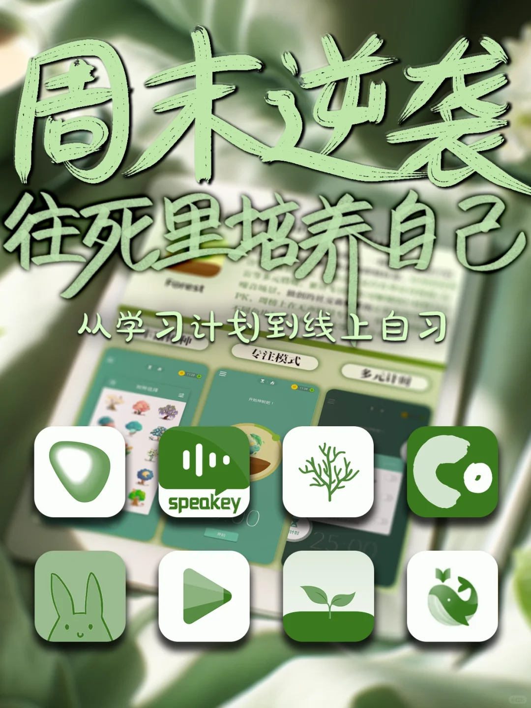 8个学霸不会轻易告诉你的学习APP！逆袭必备