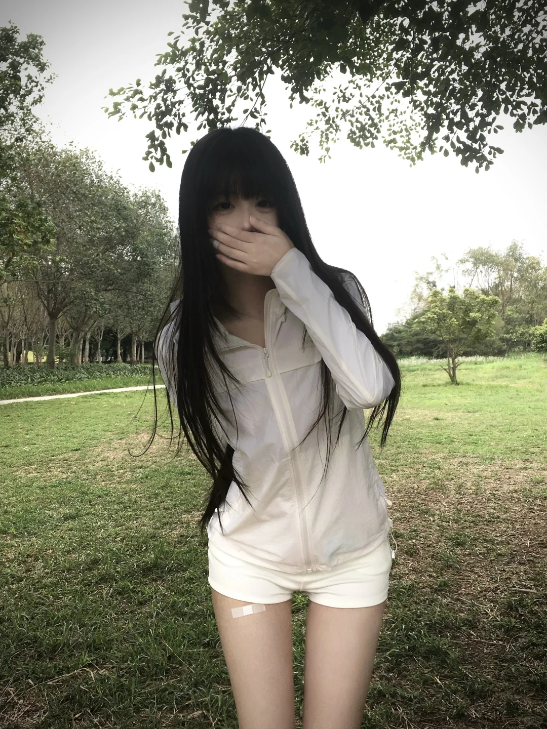 我和你的眼睛是交织的二十三条树脉