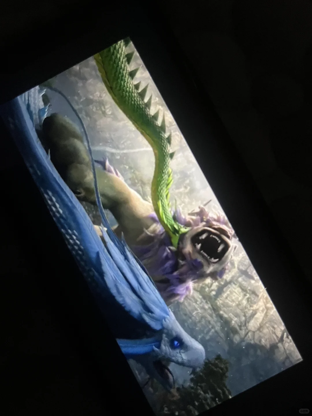 追剧软件！这一个就够用了！